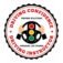 dcdi personal car trainer logo